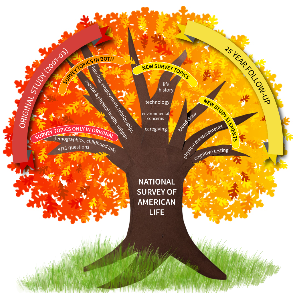 Infographic of a tree describing the elements of the National Survey of American Life, comparing the original study (2001-03) to the 25 Year Follow-up. Survey topics only in original: demographics, childhood info, 9/11 questions; Survey topics in both: Housing, employment, relationships, mental & physical health, religion; New survey topics: life history, technology, environmental concerns, caregiving; New Study elements: blood draw, physical measurements, cognitive testing